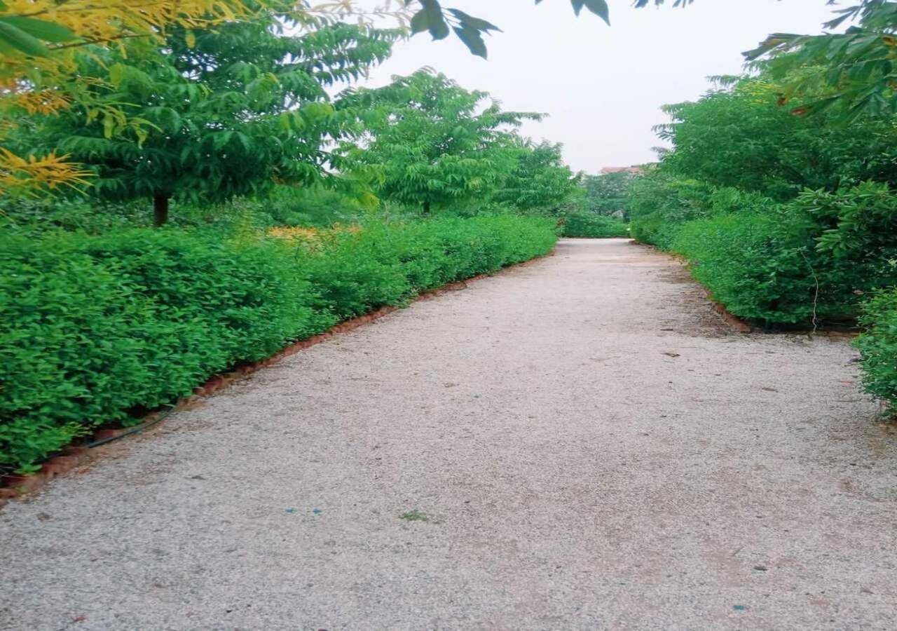 פושקאר Lohana Village Resort מראה חיצוני תמונה